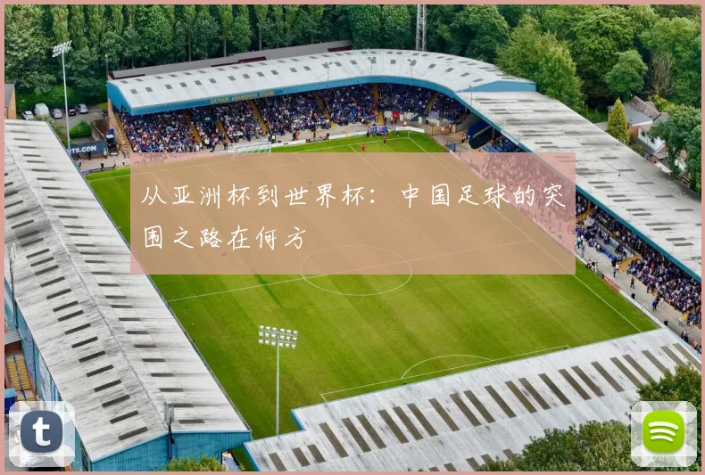 从亚洲杯到世界杯：中国足球的突围之路在何方
