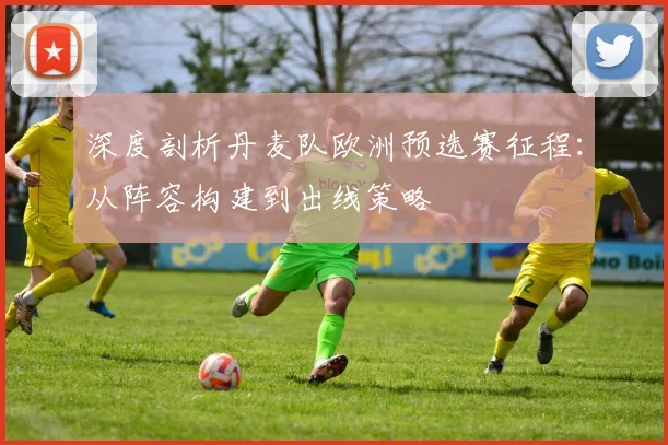 深度剖析丹麦队欧洲预选赛征程：从阵容构建到出线策略