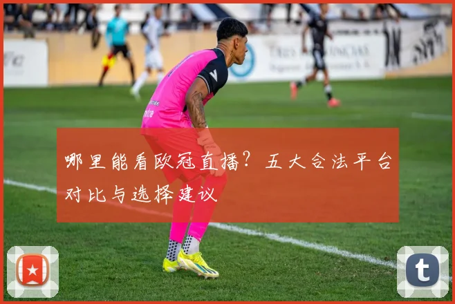 哪里能看欧冠直播？五大合法平台对比与选择建议