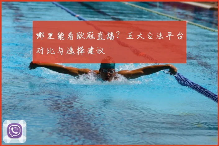 哪里能看欧冠直播？五大合法平台对比与选择建议